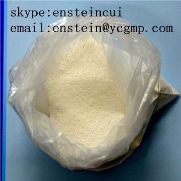 Levobupivacaine Hydrochloride 